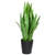 Real Touch™️ Artificial Two Tone Potted Snake Plant - 3' - IMAGE 2