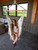 72” White Brazilian Style Hammock Chair with a Hanging Bar - IMAGE 3