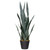 Real Touch™️ Artificial Two Tone Potted Snake Plant - 29" - IMAGE 2