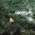 Real Touch™️Pre-Lit Full Green Mountain Pine Artificial Christmas Tree - 7.5' - Clear Lights - IMAGE 4