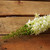 37" Pale Green and White Foxtail Floral Artificial Crafting Stem - IMAGE 2