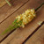 37" Green and Yellow Artificial Foxtail Floral Crafting Stem - IMAGE 2