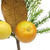 19" Autumn Harvest Asheville Fruit Pine and Lemon Artificial Thanksgiving Spray - IMAGE 2