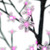 Pre-Lit Sakura Cherry Blossom Flower Artificial Tree - 6' - Pink LED Lights - IMAGE 5