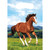 Club Pack of 96 Brown and Green Horse Printed Favor Loot Bags 8.8" - IMAGE 1