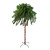 Pre-Lit Artificial Palm Tree - 6' - Clear Lights - IMAGE 1