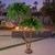 6' Pre-Lit Dual Artificial Tropical Outdoor Patio Palm Trees - Clear Lights - IMAGE 2