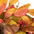 26" Leaves, Pinecones and Berries Artificial Fall Harvest Wreath