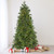 7.5' Pre-Lit Rosemary Emerald Angel Pine Artificial Christmas Tree - Warm White LED Lights - IMAGE 2