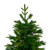 Real Touch™️ Medium Rosemary Emerald Angel Pine Artificial Christmas Tree - 7.5' - Unlit - IMAGE 3