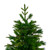 6.5' Medium Rosemary Emerald Angel Pine Artificial Christmas Tree - Unlit - IMAGE 3