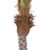 7.25' Artificial Potted Phoenix Palm Tree, Unlit - IMAGE 6