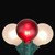 Christmas String Lights - G50 Globe - Red and White - 9' Green Wire - 10ct - IMAGE 3