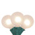 10-Count White Frosted G40 Globe Patio Lights, 9ft Green Wire - IMAGE 1