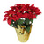 20" Red Artificial Christmas Poinsettia with Gold Wrapped Pot - IMAGE 1