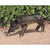 Razorback Wild Boar Outdoor Garden Statue - 20.5" - IMAGE 2