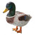 32.5" Over-sized Outdoor Garden Mallard Duck Statue - IMAGE 1