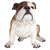 16" Sitting Realistic Bulldog Two toned Outdoor Garden Statue - IMAGE 1