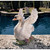 23" The Majesty of Swan Lake Outdoor Garden Statue - IMAGE 2