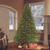 7.5’ Pre-Lit Medium Fraser Fir Artificial Christmas Tree – Clear Lights - IMAGE 2