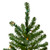 Pre-Lit Pencil Canadian Pine Artificial Christmas Tree - 7.5' - Multicolor Lights - IMAGE 5