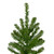 Canadian Pine Artificial Pencil Christmas Tree - 6.5' - Unlit - IMAGE 3