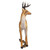 37.5" Standing Woodland Buck Deer Outdoor Garden Statue - IMAGE 3