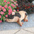 12.5" Sleeping Pig Outdoor Garden Statue - IMAGE 2