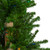Set of 3 Pre-Lit Slim Alpine Artificial Christmas Trees 6' - Multi Lights - IMAGE 5