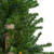 Pre-Lit Medium Alpine Artificial Christmas Tree - 6' - Multicolor Lights - IMAGE 5