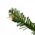 Set of 3 Pre-Lit Slim Alpine Artificial Christmas Trees 6' - Clear Lights - IMAGE 2
