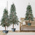 Set of 3 Pre-Lit Slim Flocked Alpine Artificial Christmas Trees 6' - Multicolor Lights - IMAGE 1