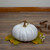 10” White Flat Round Pumpkin Fall Harvest  Table Top Decoration - IMAGE 3