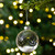 Winter Forest Christmas Glass Ball Ornaments - 3.25" (80mm) - 4ct - IMAGE 1