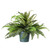 20” Potted Fern Artificial Plant - IMAGE 1