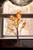 2' Pre-Lit Maple Artificial Fall Harvest Tree- Clear LED Lights - IMAGE 4