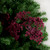 35" Burgundy Beaded Artificial Christmas Spray - IMAGE 2