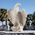 24" America's Eagle Outdoor Garden statue - IMAGE 2