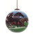 Wild Horse Power Hand Painted Glass Ball Christmas Ornament - 4” - IMAGE 1