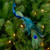 12" Green and Blue Textured Peacock Christmas Ornament - IMAGE 2