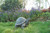 18" Realistic Replica Turtle Outdoor Garden Statue - IMAGE 4