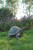 18" Realistic Replica Turtle Outdoor Garden Statue - IMAGE 2