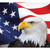 7' x 8' Blue and White Flag Patriotic Single Car Garage Door Banner - IMAGE 1