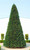 Pre-Lit Pencil Pine Artificial Christmas Tree - 15' - Clear Lights - IMAGE 4