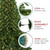 Pre-Lit Full Olympia Pine Artificial Christmas Tree - 12' - Warm White Lights
