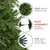 Northlight 6.5' Pre-Lit Roosevelt Fir Artificial Christmas Tree - Clear Lights