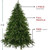 7.5' Roosevelt Fir Artificial Christmas Tree - Unlit - IMAGE 6