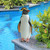 14.5" Rock Hopper Penguin Outdoor Garden Statue - IMAGE 2