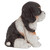 6" Sitting Cavalier King Charles Puppy Dog Outdoor Garden Statue - IMAGE 3