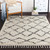 10' x 13.9' Geometric Patterned Beige and Black Rectangular Area Throw Rug - IMAGE 2